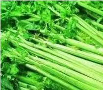 衰老|这8种食物是“衰老加速器”，每吃一口都在催你老