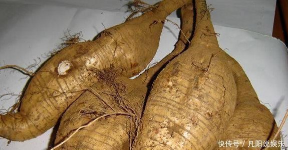 雌激素|女人上了45岁,常吃一物,补充雌激素,祛斑养颜,预防妇科疾病