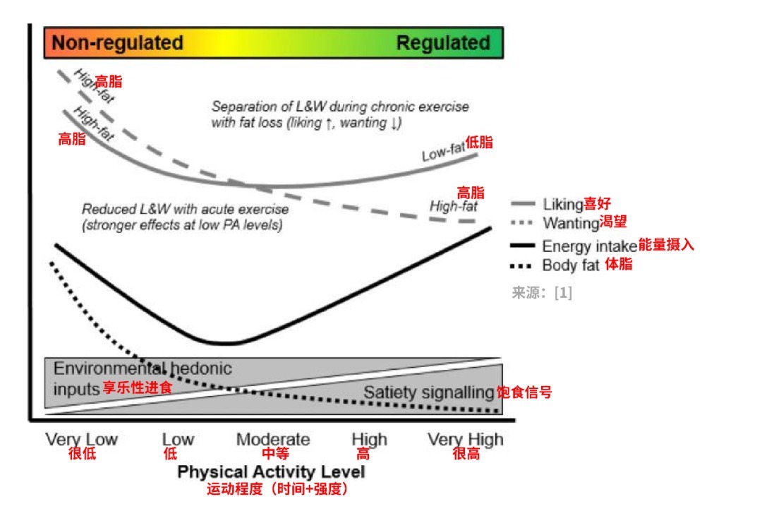 剧烈运动|运动能让人「厌食」,是真的!只不过……