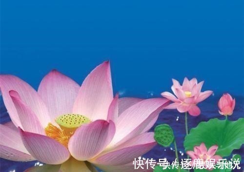 吃苦&做人贵在明理,弄明了这样三个道理,就是明白人