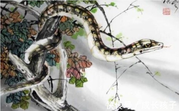 毕生|十蛇九不全：揭秘65年生肖蛇的毕生寿命，过了55岁后什么命？