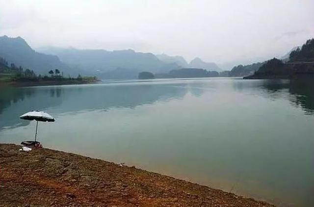 这种鲫鱼长相独特，不喜欢草边跟岸边，你钓到过这种鲫鱼吗