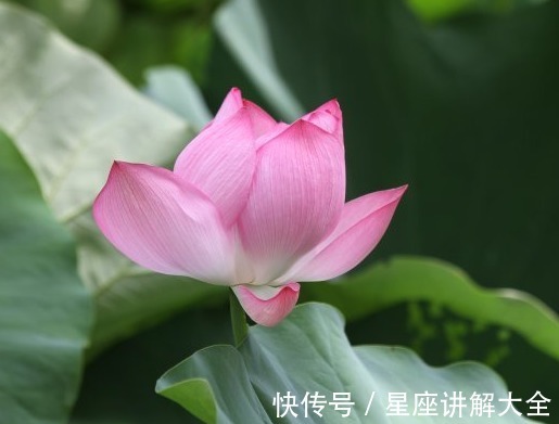 财运亨通|9月上旬,4属相财运亨通,有横财有大奖,过上富裕生活