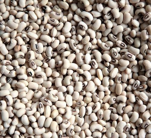 清肠|长寿老人爱吃的食物,排毒清肠,延缓衰老,增强抗病能力