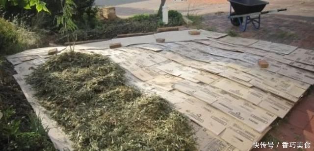 常用的一些生活用品，变成园艺工具，用来养花太方便了