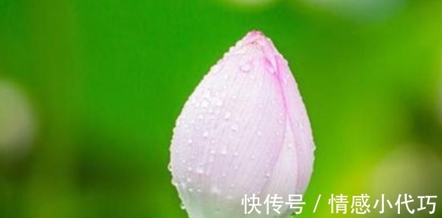 省心杂言|一个家庭难以富贵,往往是犯了这3个糊涂,要想家庭兴旺不妨一看