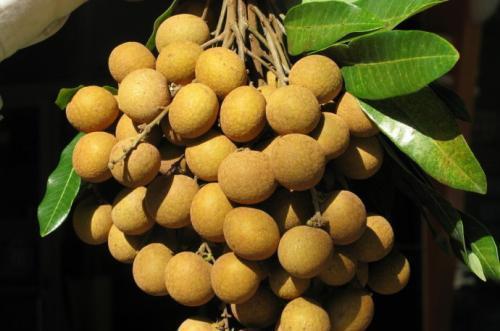 延缓衰老|女性到了中年,常吃3种食物,降压减脂,排毒清肠,改善气色