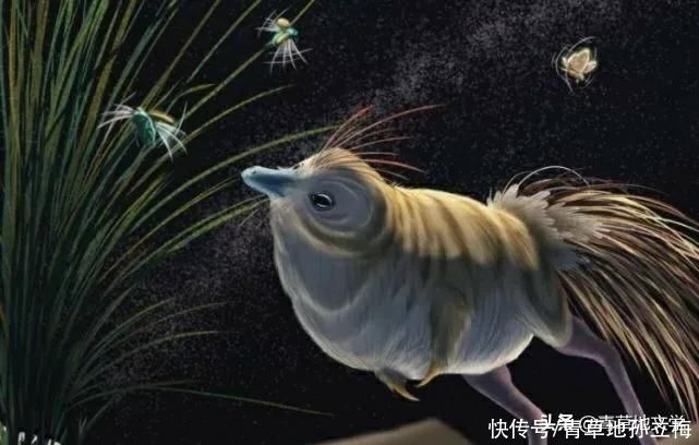 苇海|青草地文学：秋夜情歌