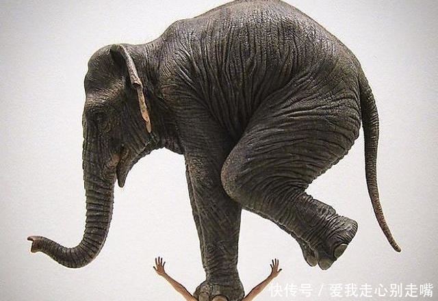 奇妙,太奇妙了,24座“与地心引力对抗的雕塑,让牛顿都拜了!