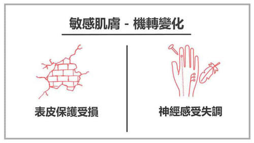 敏感肌肤适合什么牌子的护肤品？敏感肌怎样修复成正常肌肤？