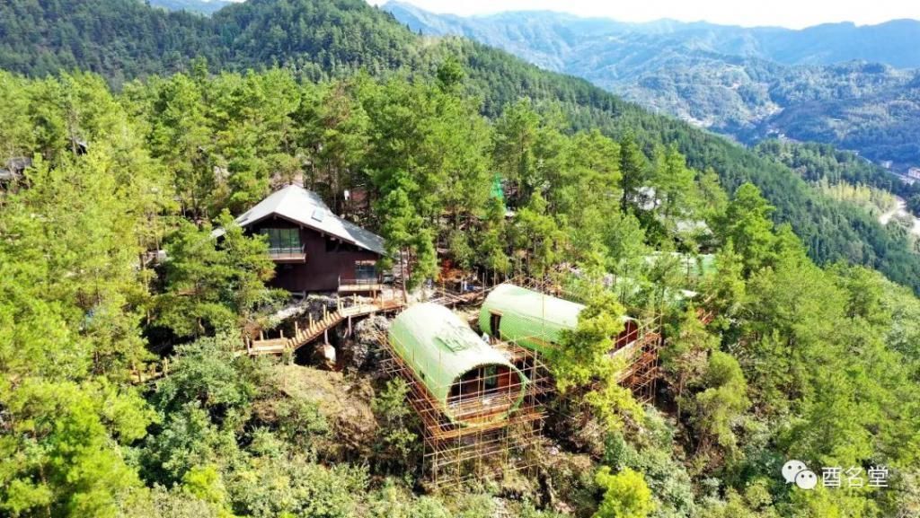 修树屋、帐篷酒店、无边泳池……金银山上在悄悄咪咪干大事