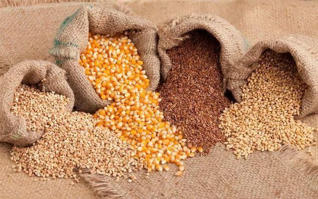 柳叶刀|柳叶刀:全球20%的成人死于吃错饭!牢记这几点,或能活得更久