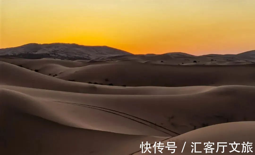 沙漠|除了黄沙漫天，腾格里的沙漠里还能干什么？