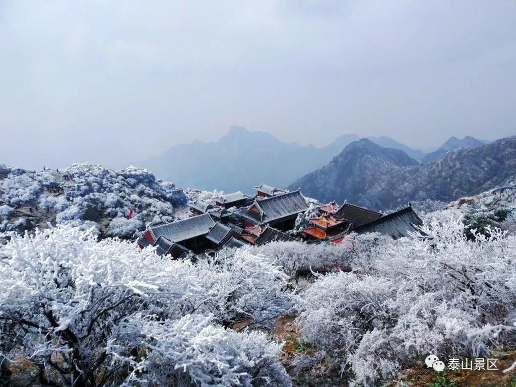 仙境|如入仙境！央视播出泰山雾凇景观