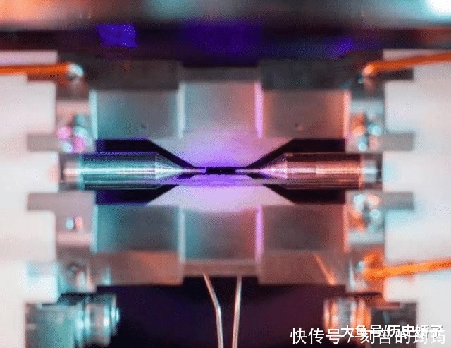 电子显微镜 22张“活久见”的照片,令人大开眼界!