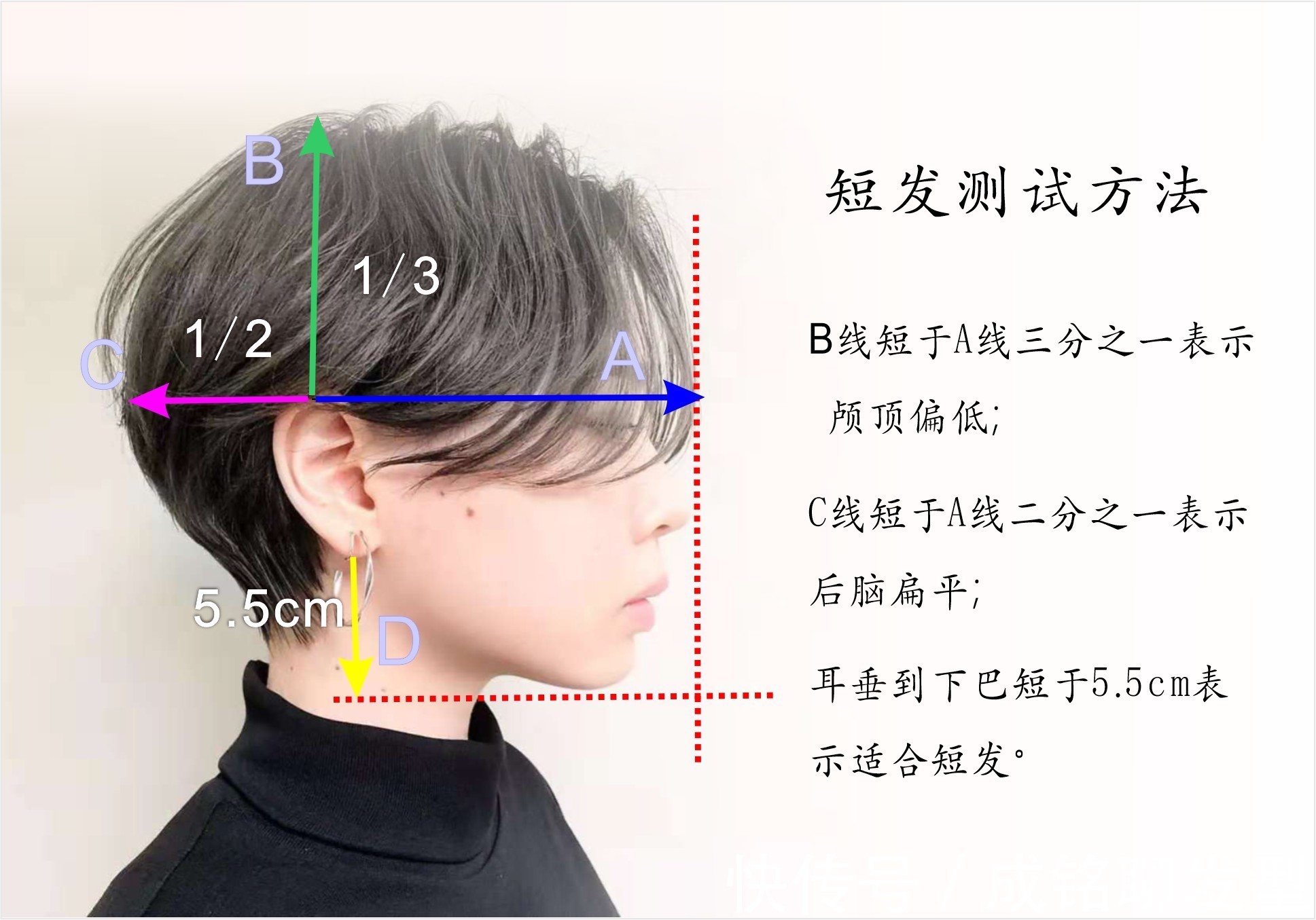 蓬松度|中年女人剪短发，重点在于颅顶高低的选择，选错发型显老又掉档次