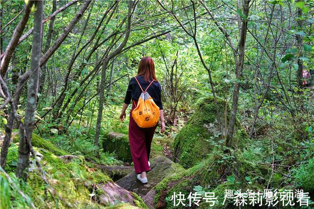 长白山|长白山深处被忽略的景区,鸳鸯池上没鸳鸯，但美的好像一幅画