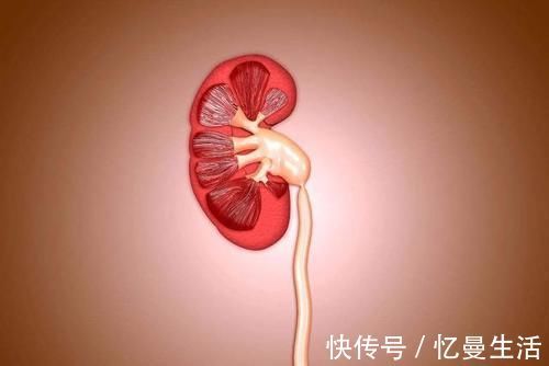 蛋白质|豆腐虽好，但有4类人却不宜吃，容易引起身体不适