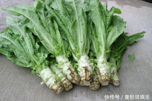 农村田里野菜,它可以清肠通便,还能防癌,现在才知道它这么厉害