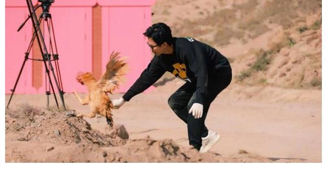 鄧超被五哈節(jié)目組整慘，不是追雞就是趕豬，稱以后不錄這樣的節(jié)目