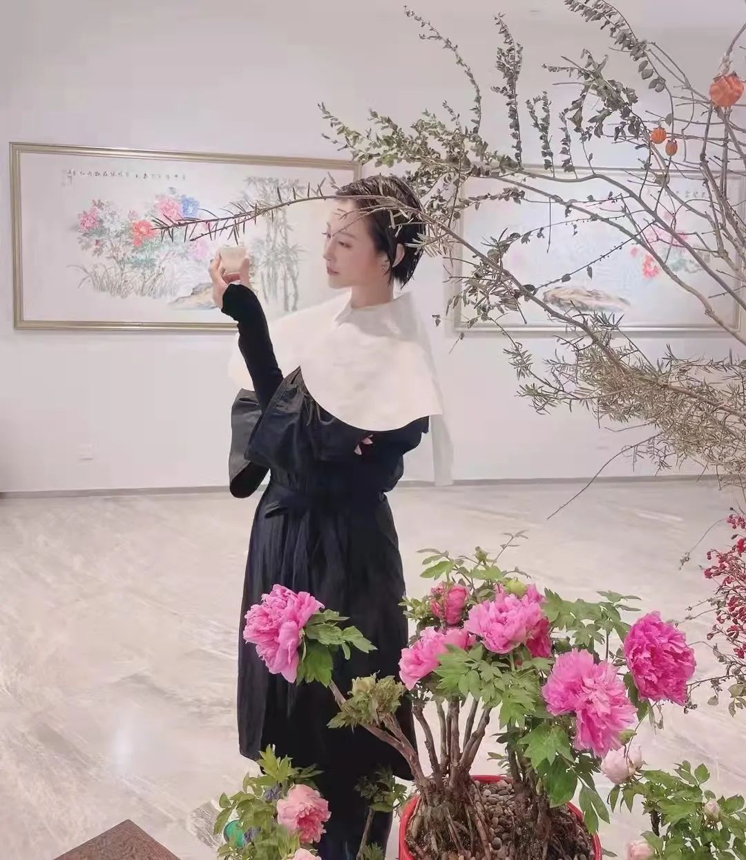 国色天香@唯有牡丹真国色,花开时节迎新春