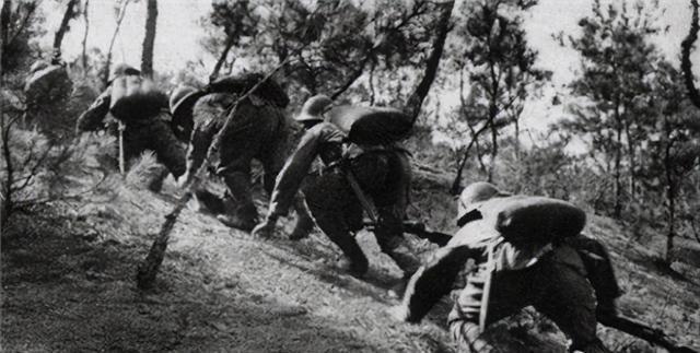 鳄鱼|二战末期，逃到兰里岛上的1000多名日军，为何被鳄鱼吃光？