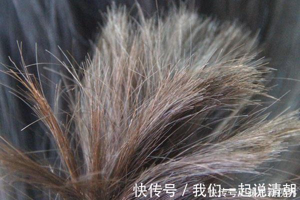 气血|女性身上一处毛发越黑，说明身体越健康，最好别乱剔