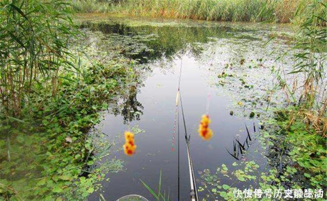 大跑铅|野钓为何会出现小鱼闹钩?至少有这几招,避开杂鱼直取大鱼