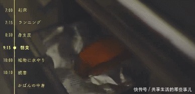 叶田女士|早上吃多少合适看完日本三位职场女性的极简早餐,我陷入了沉思