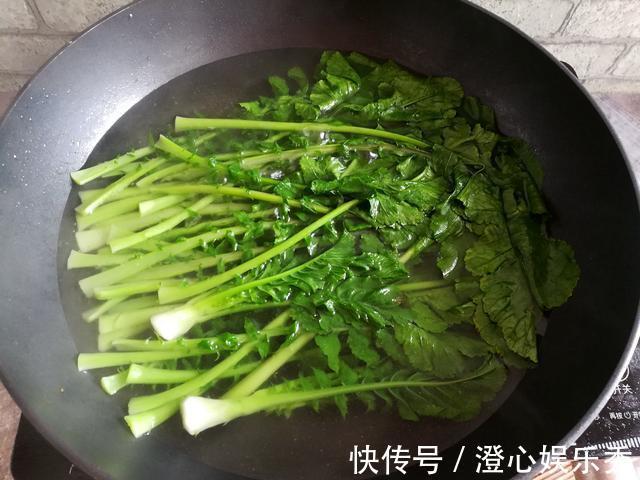 叶子|这菜被称为“小人参”,叶子营养极高,常被当垃圾扔掉,真可惜