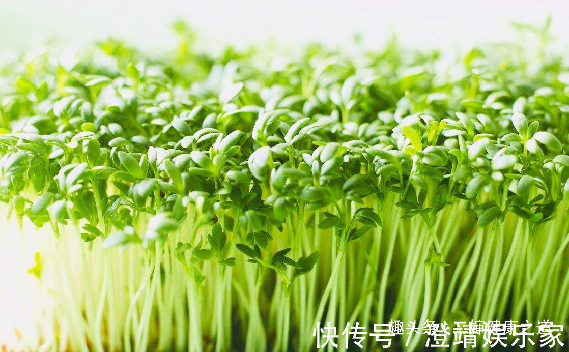 卵巢癌|女性不想得卵巢癌,每天食此菜,抗癌防癌,让女性身体越来越健康