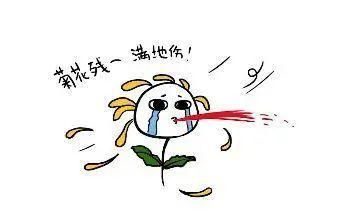 夏天|老一辈常说夏天拉拉肚子是正常的，真的避免不了吗？