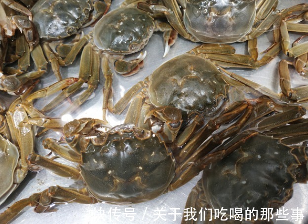 鲜美|清蒸蟹用冷水还是开水?牢记3个技巧,鲜嫩又鲜美,腿不掉黄不流