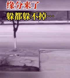 |搞笑GIF:当她转身的那一刻,我手里的板儿砖已经不淡定了。