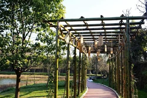 老年|自然丨仰天窝阳光健身步道升级！山顶湖泊等你来打卡~