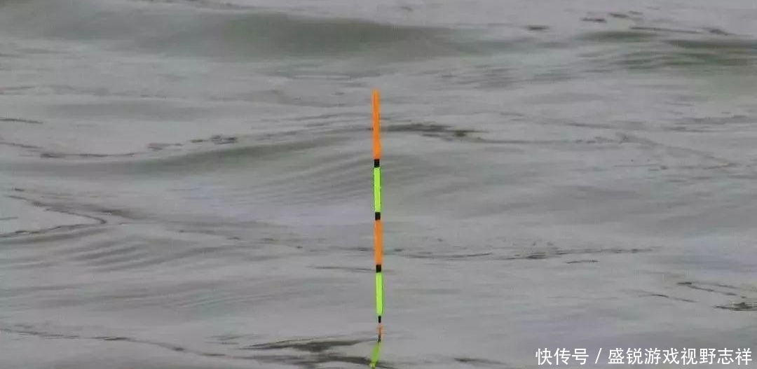 用武之地|入夏用素饵,蚯蚓无用武之地?你没用对方法!这样用比饵料好多了