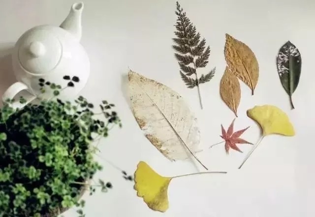 生活|半生已过,唯愿快乐