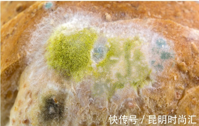 毒素|黄曲霉毒素很狡猾,如果你家里厨房有这5种情况,抓紧收拾