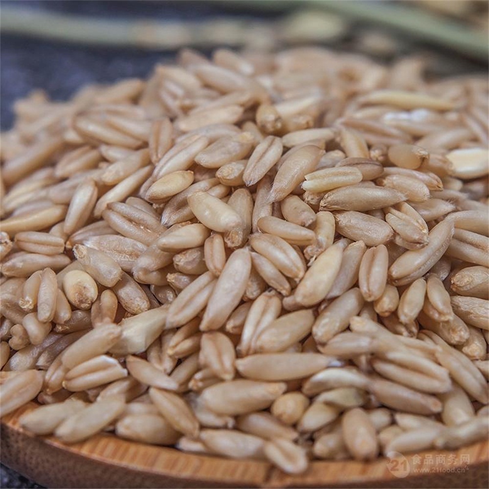 稻谷酒|真全粮家庭米酒技术-稻谷烧酒方法