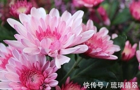 情思|7天后，心之向往，心也释然，前程似锦，回首前任，情思悠悠