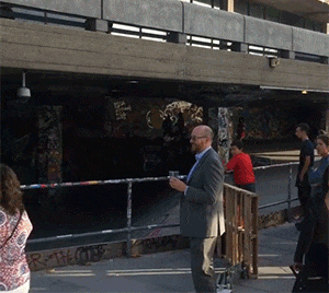 |搞笑GIF:猫:自从这个金毛来到这个家,老子的地位就一落千丈