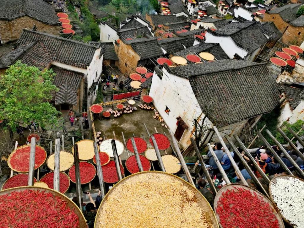 徽州|夏天成了故事 秋天已成风景 秋色徽州等你来