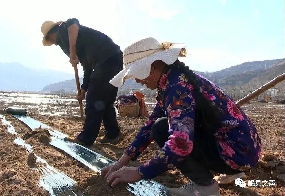 岷县的春夏秋冬，看不够！