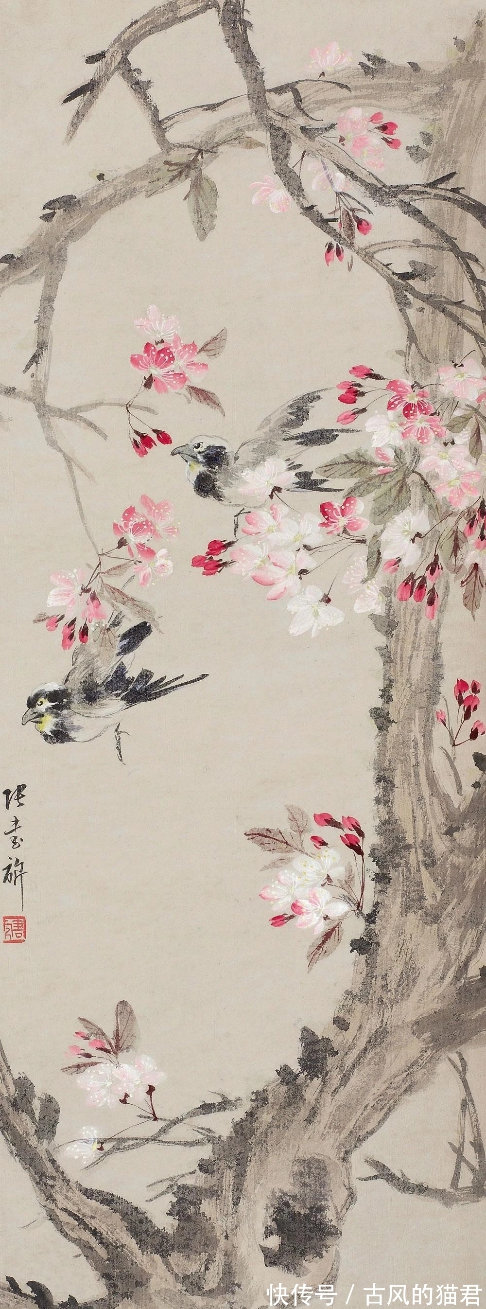 花鸟画!独特的魅力|张书旂花鸟画