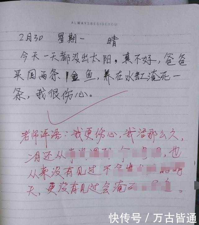 看不懂|小学生日记“笑翻全场”，爸妈看不懂，老师评语表示很伤心