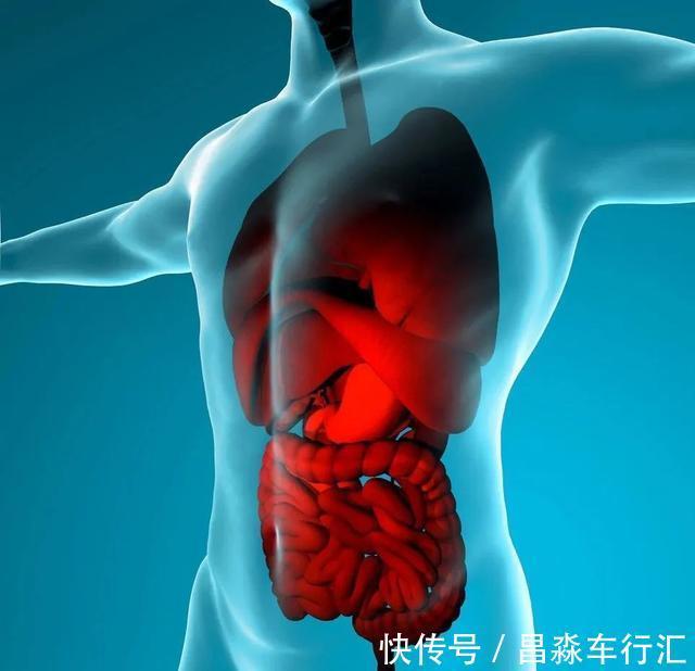 五脏积毒|五脏积毒以后身体会有哪些变化?一组图告诉你所有变化,建议收藏