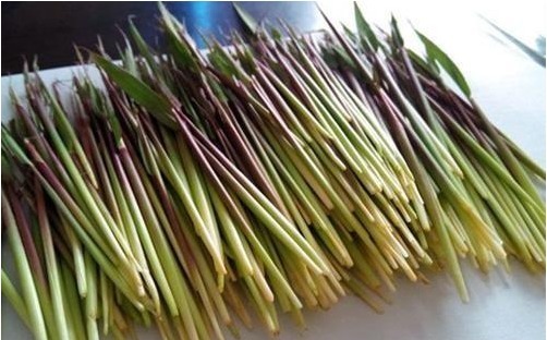 茅针|农村野草茅针,长期食用,对身体有什么好处或者坏处吗