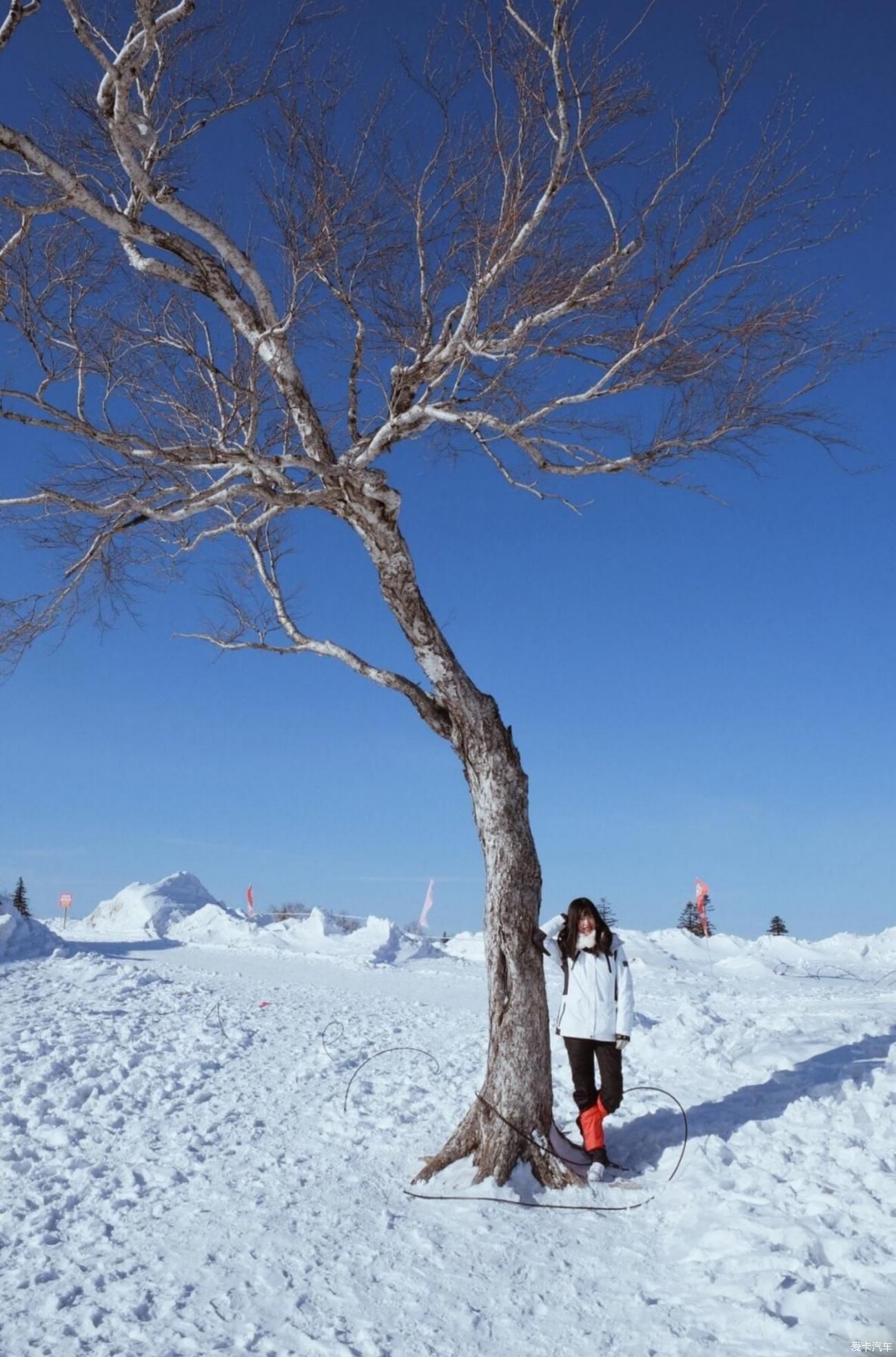 雪花漫漫洒落大地 浪漫季节体验大自然馈赠给人间的礼物-小雪花