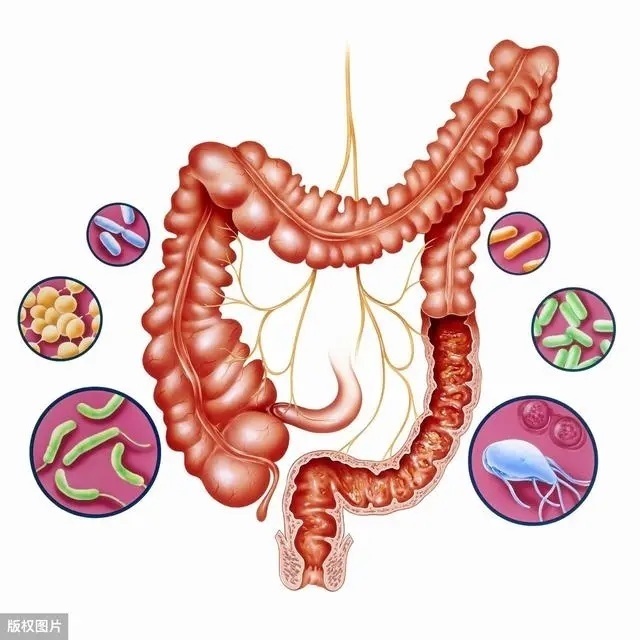 糖尿病人看过来：曾经被你弃之如敝屣的食物，其实是控糖能手