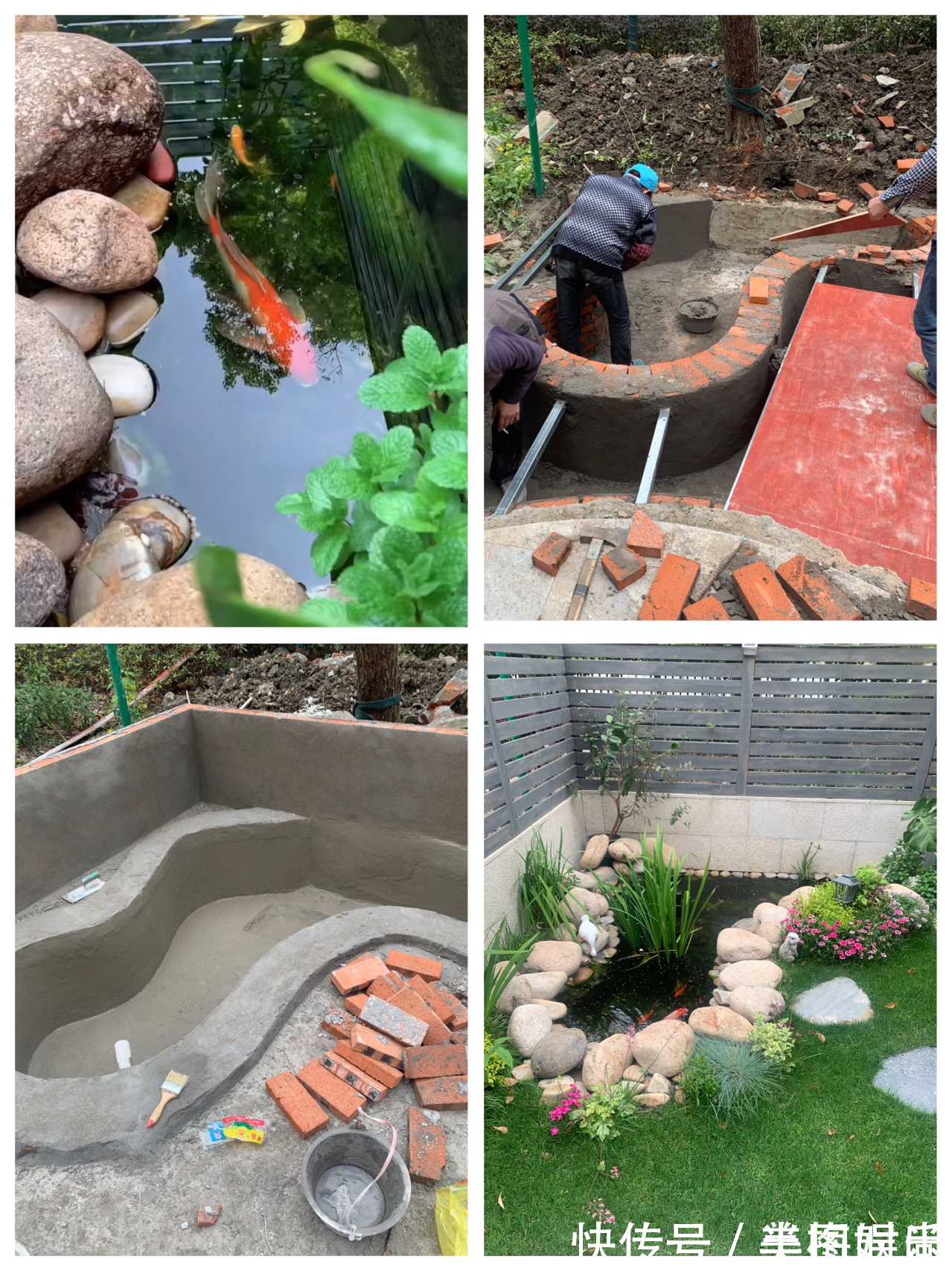 花一万元，在院子里建了个“原生态鱼池”，太漂亮了！